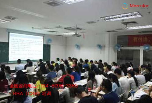 自貢RBA驗廠要求下的碳排放管理與信息技術(shù)咨詢服務(wù)